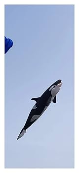 快適グッズ・旅行小物 TKNK PRODUCTS hanging whale 快適グッズ・旅行小物 TKNK PRODUCTS hanging whale 31O83HEXVPL
